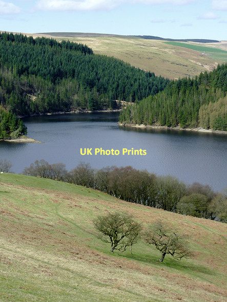 Photo 6"x4" Hill pasture, forest  and Llyn Brianne, Powys Llyn Brianne Resr c2011