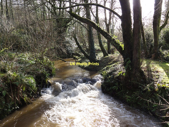 Photo 6"x4" Stream near East Cornworthy East Cornworthy c2011