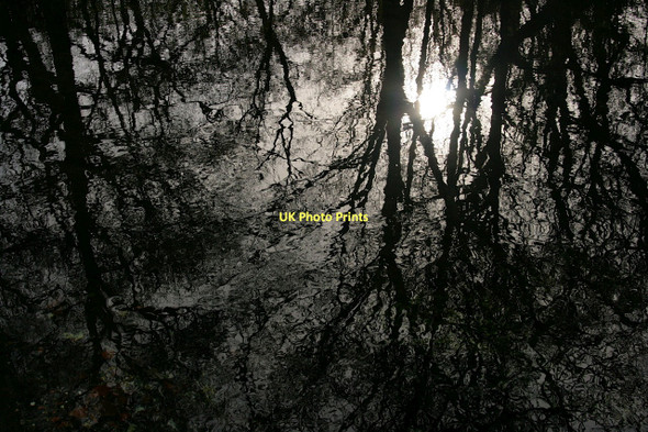 Photo 6"x4" Whitewater reflections Greywell c2011