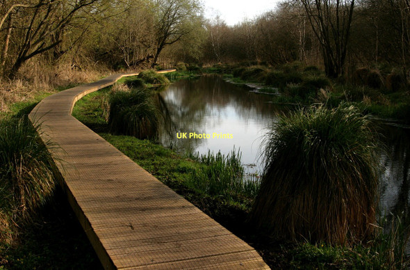 Photo 6"x4" New duckboards beside the River Whitewater Greywell c2011