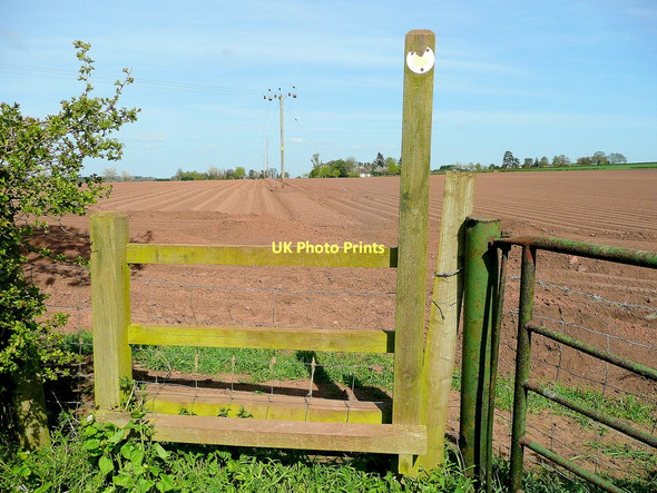 Photo 6"x4" Footpath to Bromsash Bromsash c2011