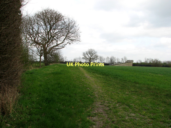 Photo 6"x4" Footpath to Grantchester Grantchester c2011