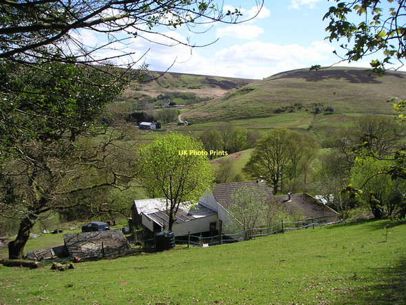 Photo 6"x4" Hill farms Glanaman c2011