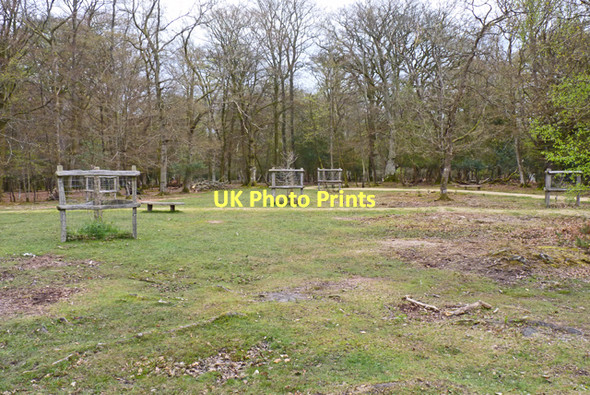 Photo 6"x4" New Forest near the Knightwood Oak Bank\/SU2807 c2011
