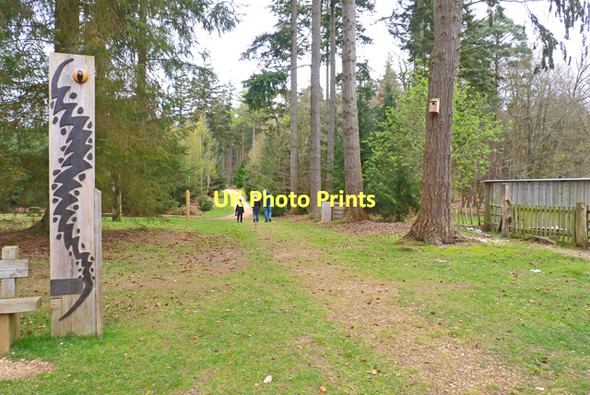 Photo 6"x4" Track leading from the Reptile Centre Bank\/SU2807 c2011