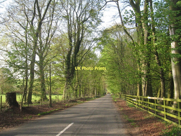 Photo 6"x4" The lane into Welton le Wold Welton le Wold c2011