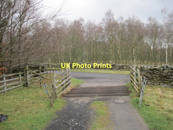 Photo 6"x4" Cattle Grid and end of Drive from Harsondale Langley\/NY8261 c2011