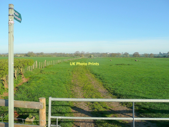 Photo 6"x4" Footpath to Forthampton Lower Lode c2011