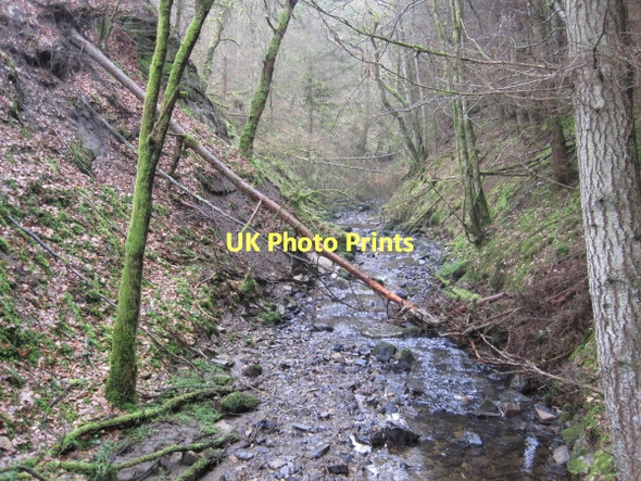 Photo 6"x4" Harsondale Burn Langley\/NY8261 c2011