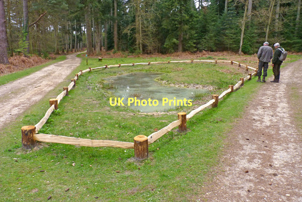 Photo 6"x4" Newly Fenced Pond, New Forest Bank\/SU2807 c2011