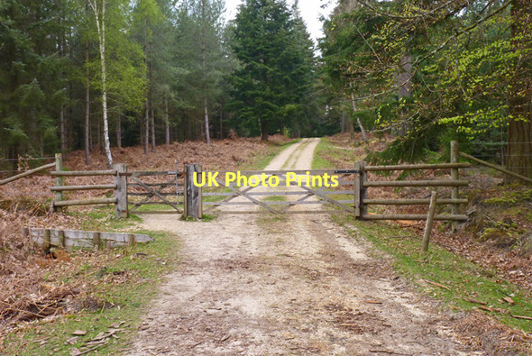 Photo 6"x4" Southern Entrance to Holidays Hill Inclosure Bank\/SU2807 c2011