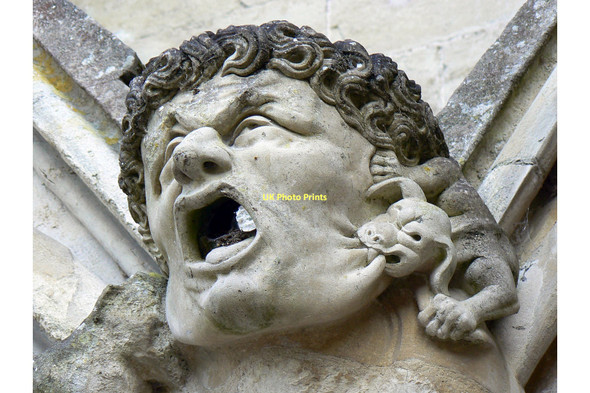 Photo 6"x4" Gargoyle, Salisbury Cathedral (2 of  5) Salisbury c2011
