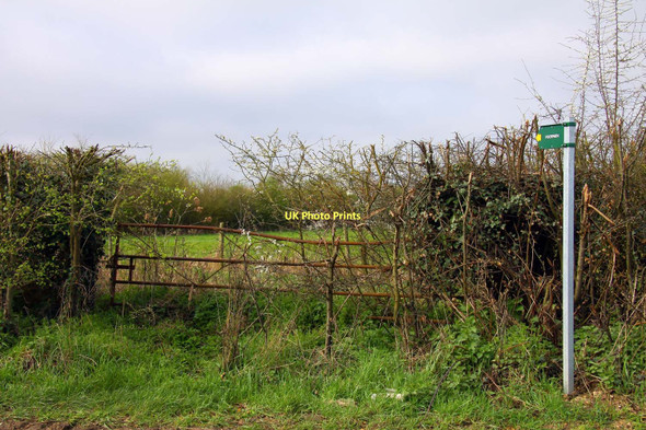 Photo 6"x4" Footpath to Marston Elsfield c2011