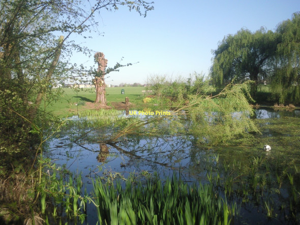 Photo 6"x4" Hare & Billet Pond, Blackheath Greenwich\/TQ3977 c2011