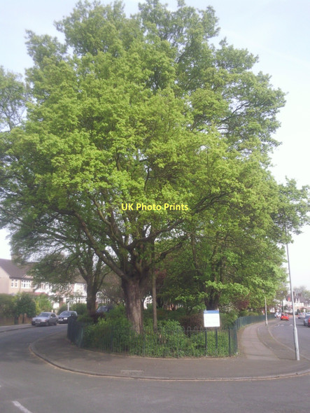Photo 6"x4" Milborough Crescent, Hither Green Catford\/TQ3873 c2011