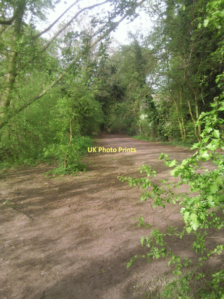 Photo 6"x4" Path in Beckenham Place Park Catford\/TQ3873 c2011