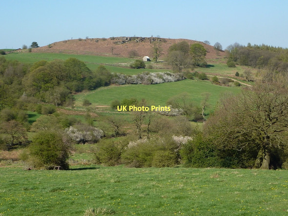 Photo 6"x4" Countryside north of Elton Dale End\/SK2161 c2011