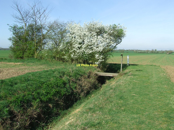 Photo 6"x4" Footpath And Bridge Bacton Green\/TM0365 c2011