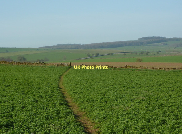 Photo 6"x4" Footpath across Elton Common Elton\/SK2260 c2011