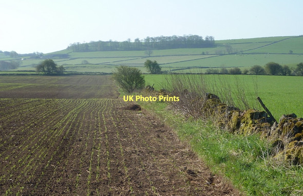 Photo 6"x4" Fields on Elton Common Elton\/SK2260 c2011