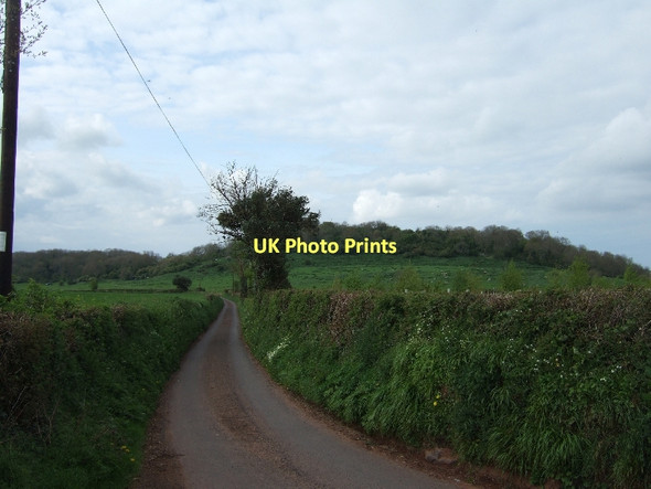Photo 6"x4" Sandy Lane and Cannington Park Edbrook\/ST2340 c2011