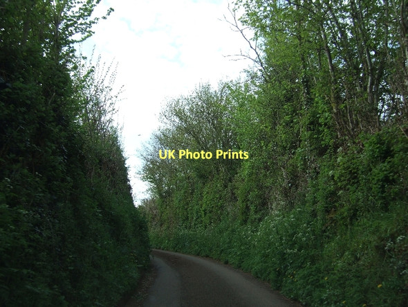 Photo 6"x4" Edbrook Lane near Edbrook Farm Edbrook\/ST2340 c2011