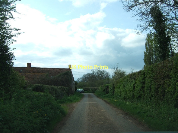 Photo 6"x4" Bonson at the end of Edbrook Lane Bonson c2011