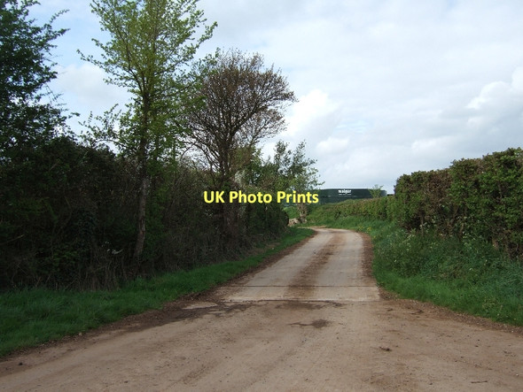 Photo 6"x4" Track to Wood Farm Coultings c2011