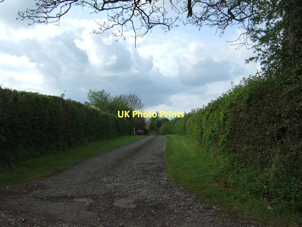 Photo 6"x4" Track to Knaplock Farm Cockwood\/ST2242 c2011