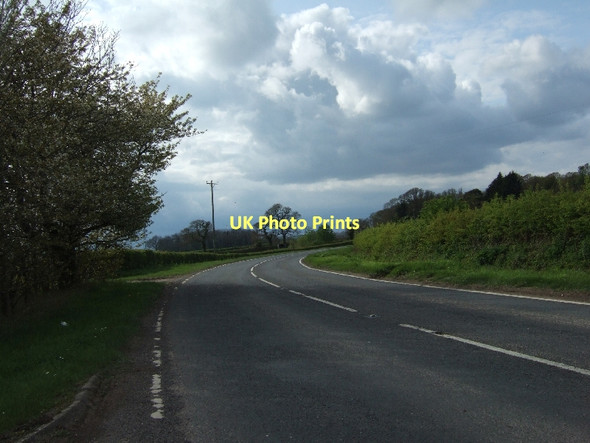 Photo 6"x4" Withycombe Hill, the road west of Combwich Combwich c2011