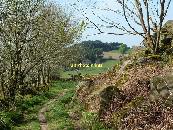 Photo 6"x4" Footpath by Anthony Hill Dale End\/SK2161 c2011