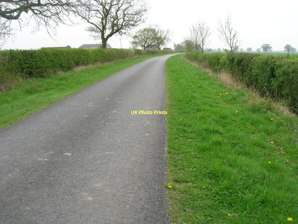 Photo 6"x4" Menthorpe Lane Gunby\/SE7035 c2011