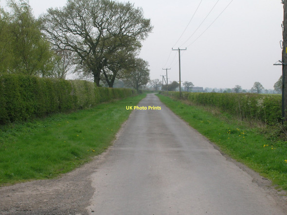 Photo 6"x4" Menthorpe Lane Gunby\/SE7035 c2011