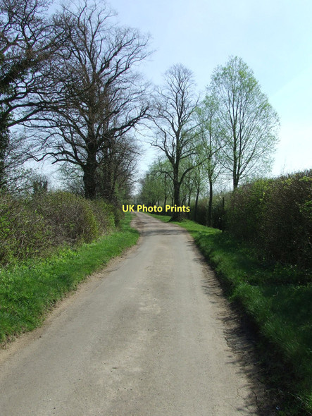 Photo 6"x4" New Bells Lane Bacton Green\/TM0365 c2011