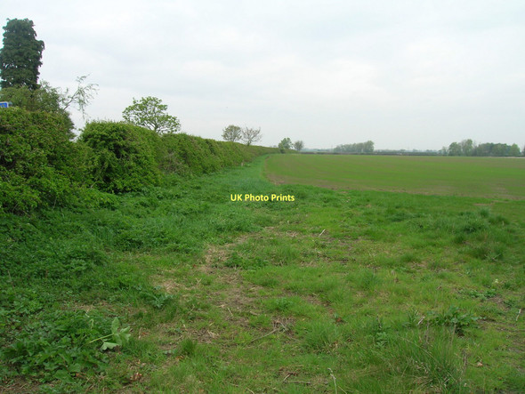 Photo 6"x4" Farmland, Aughton Aughton\/SE7038 c2011