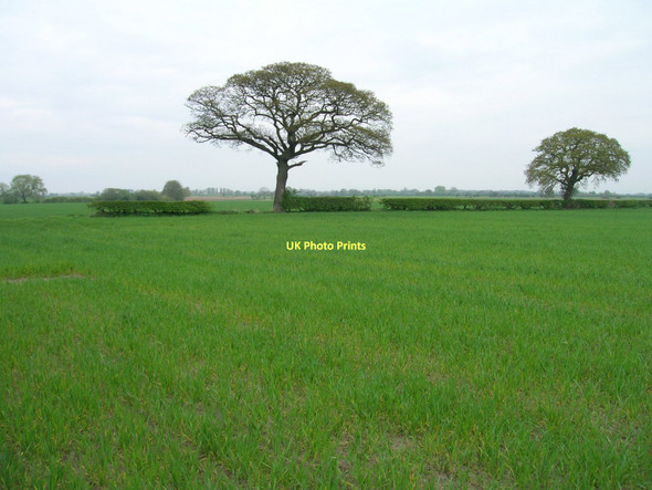 Photo 6"x4" Ellerton Common Ellerton\/SE7039 c2011
