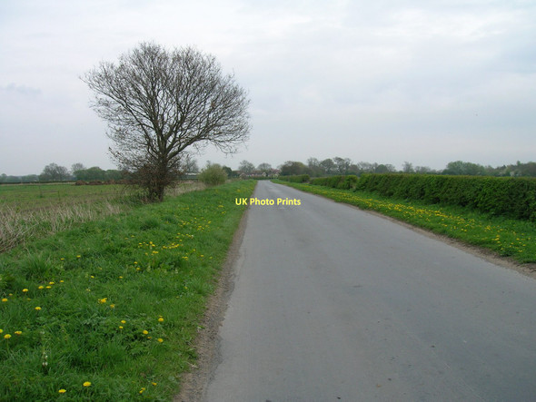 Photo 6"x4" Minor road towards the B1228 Ellerton\/SE7039 c2011
