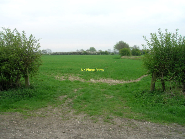 Photo 6"x4" Field entrance off Short Acre Lane Ellerton\/SE7039 c2011