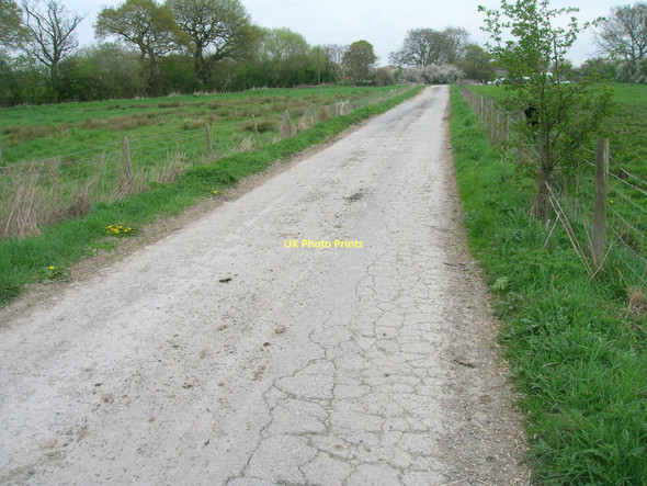 Photo 6"x4" Bowland Lane Laytham c2011