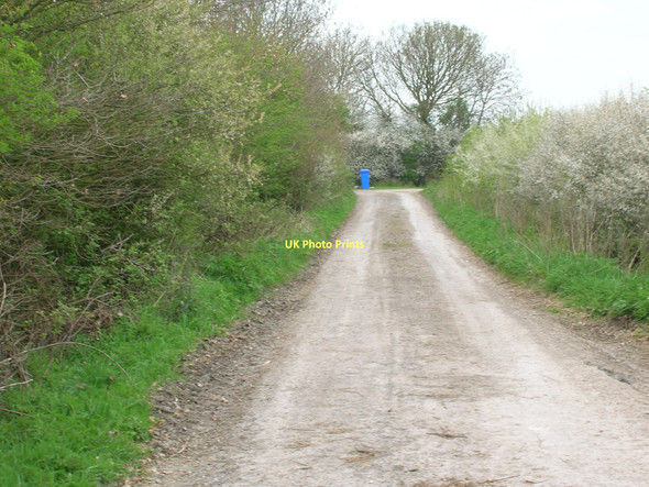 Photo 6"x4" Track to Blue Slates Farm Laytham c2011