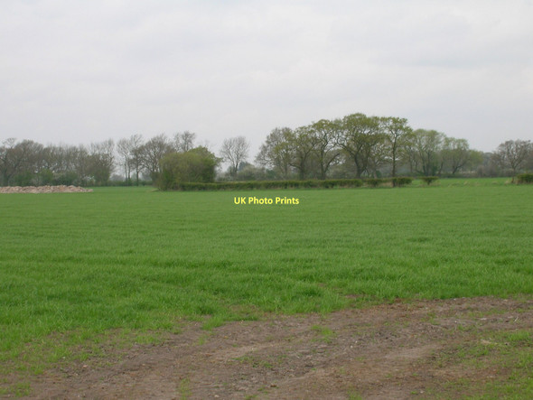 Photo 6"x4" Farmland, Pond Farm East Cottingwith c2011