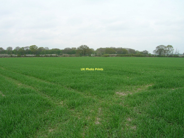 Photo 6"x4" Farmland off Fog Lane East Cottingwith c2011