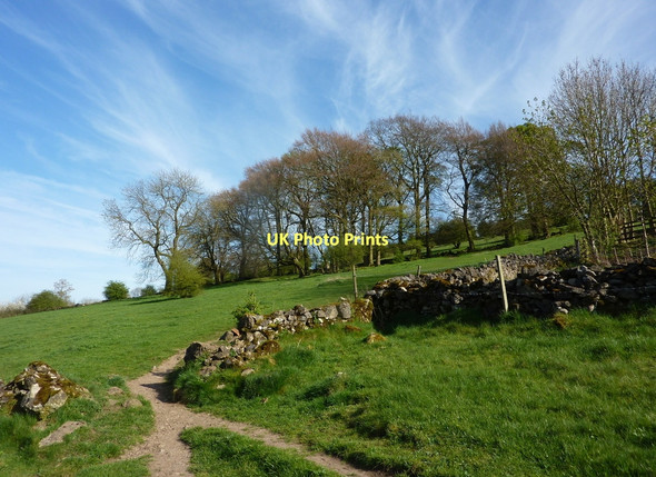 Photo 6"x4" Hillside southeast of Winster Winster\/SK2460 c2011