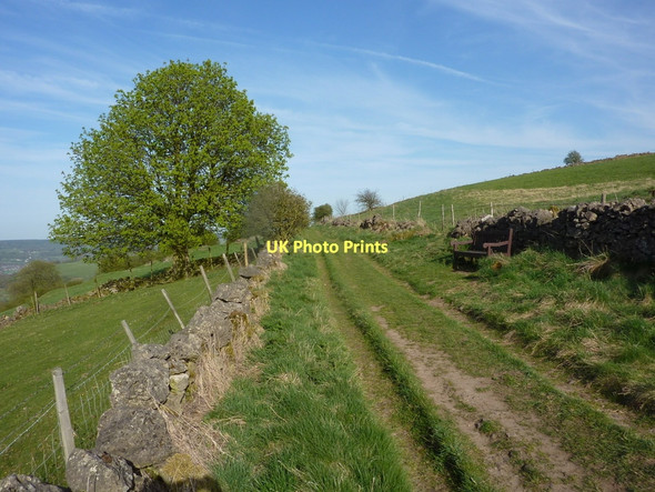 Photo 6"x4" Upland track above Winster Winster\/SK2460 c2011
