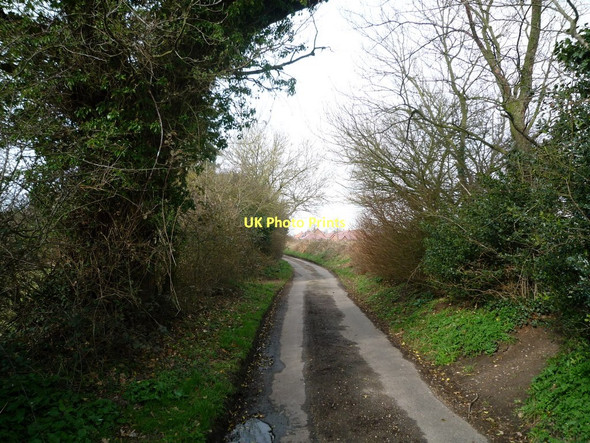 Photo 6"x4" Carr Lane Poringland c2011