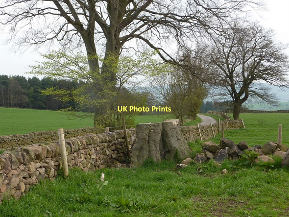 Photo 6"x4" By the lane near Harthill Moor Farm Birchover c2011