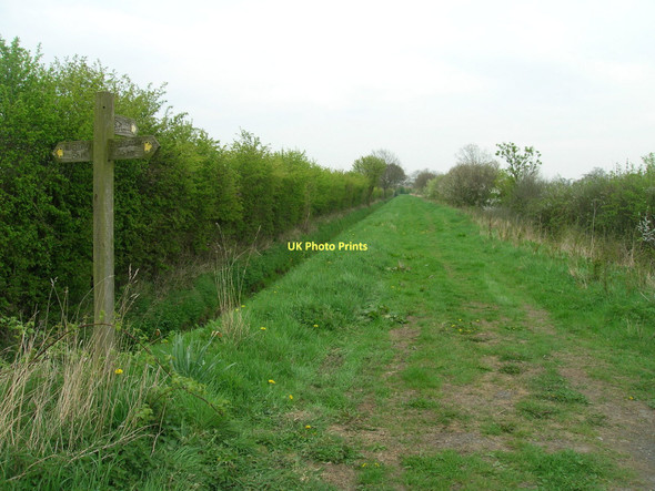Photo 6"x4" Footpath to Thorganby Thorganby\/SE6941 c2011