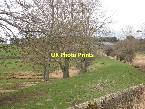 Photo 6"x4" Disused Railway Line on the Hexham to Allendale Branch Line Langley\/NY8261 c2011