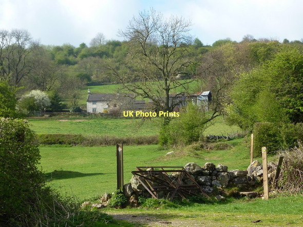 Photo 6"x4" Hillside and Masson Lees Farm Matlock c2011