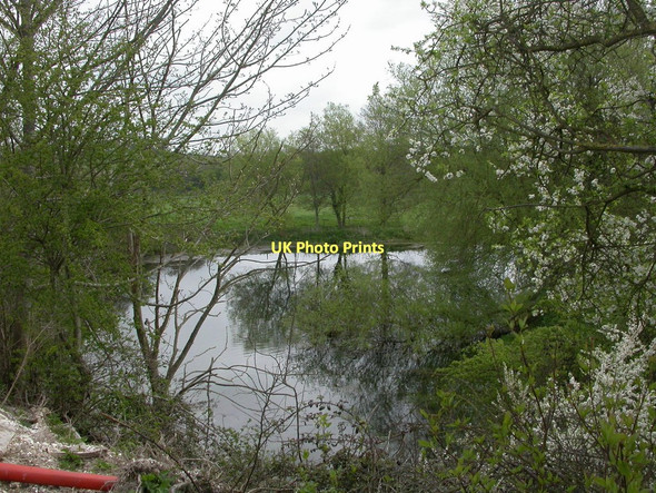 Photo 6"x4" Winterborne Monkton, pond Winterborne Herringston c2011